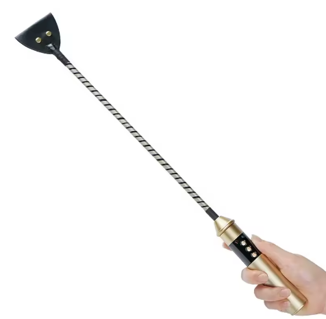 cravache électrique